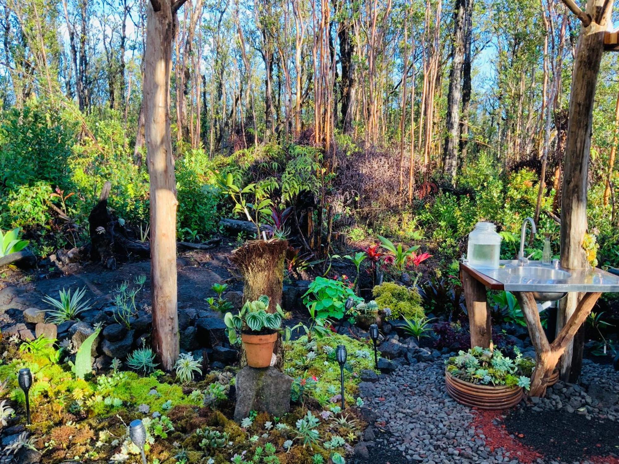 Exotic Garden Cottage At Amazing Volcano Fissure Mountain View Exterior photo