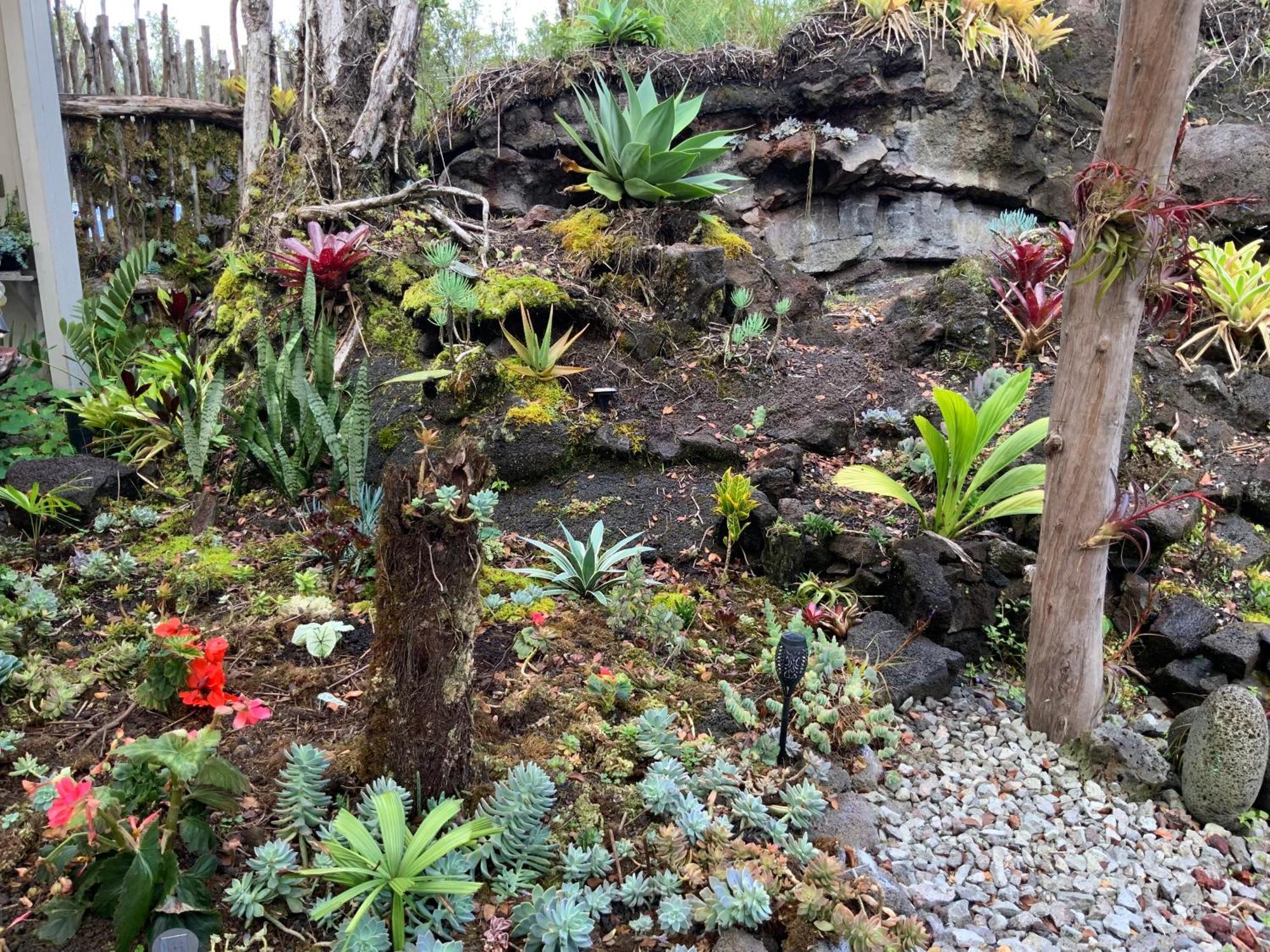 Exotic Garden Cottage At Amazing Volcano Fissure Mountain View Exterior photo