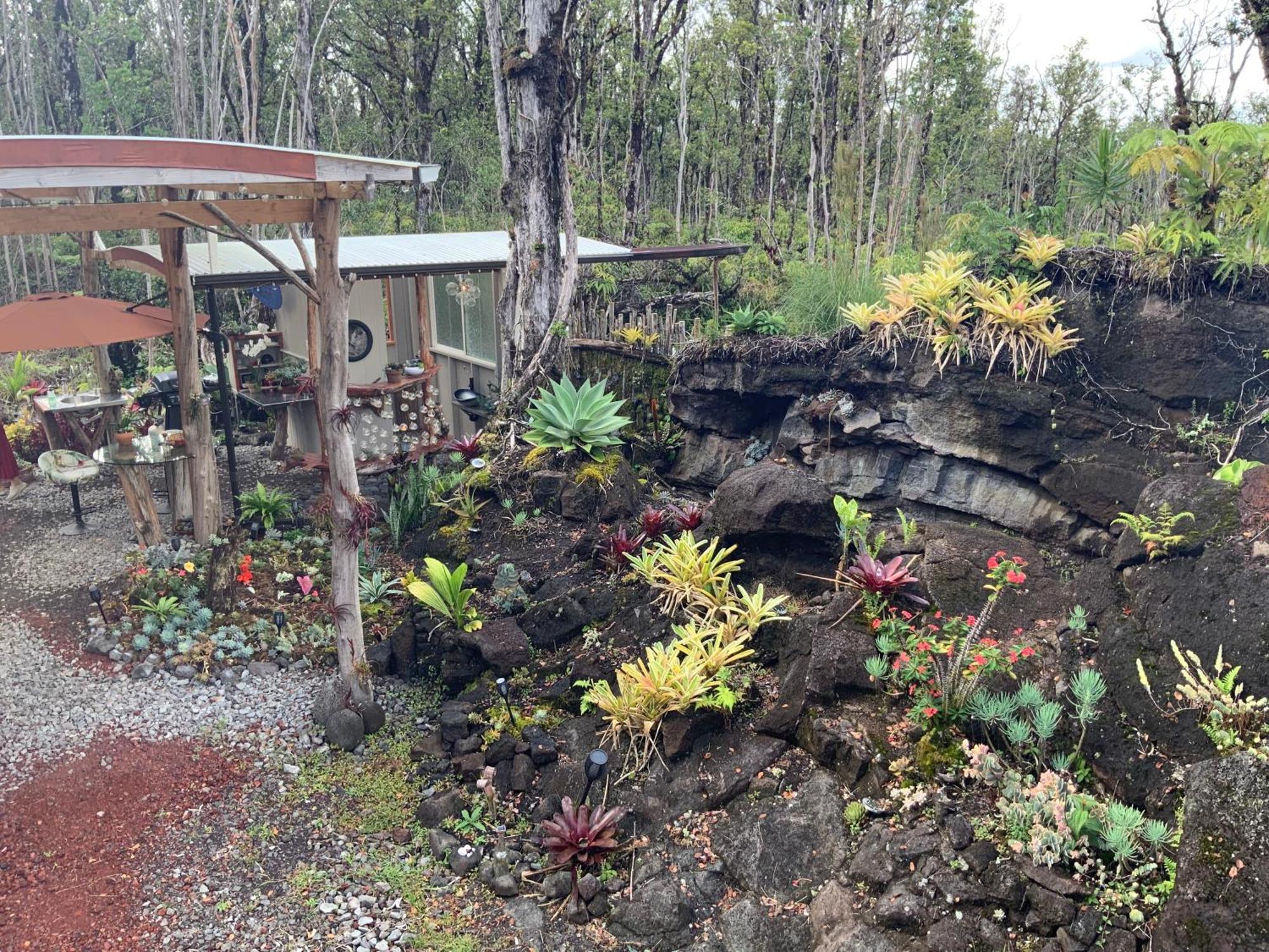 Exotic Garden Cottage At Amazing Volcano Fissure Mountain View Exterior photo