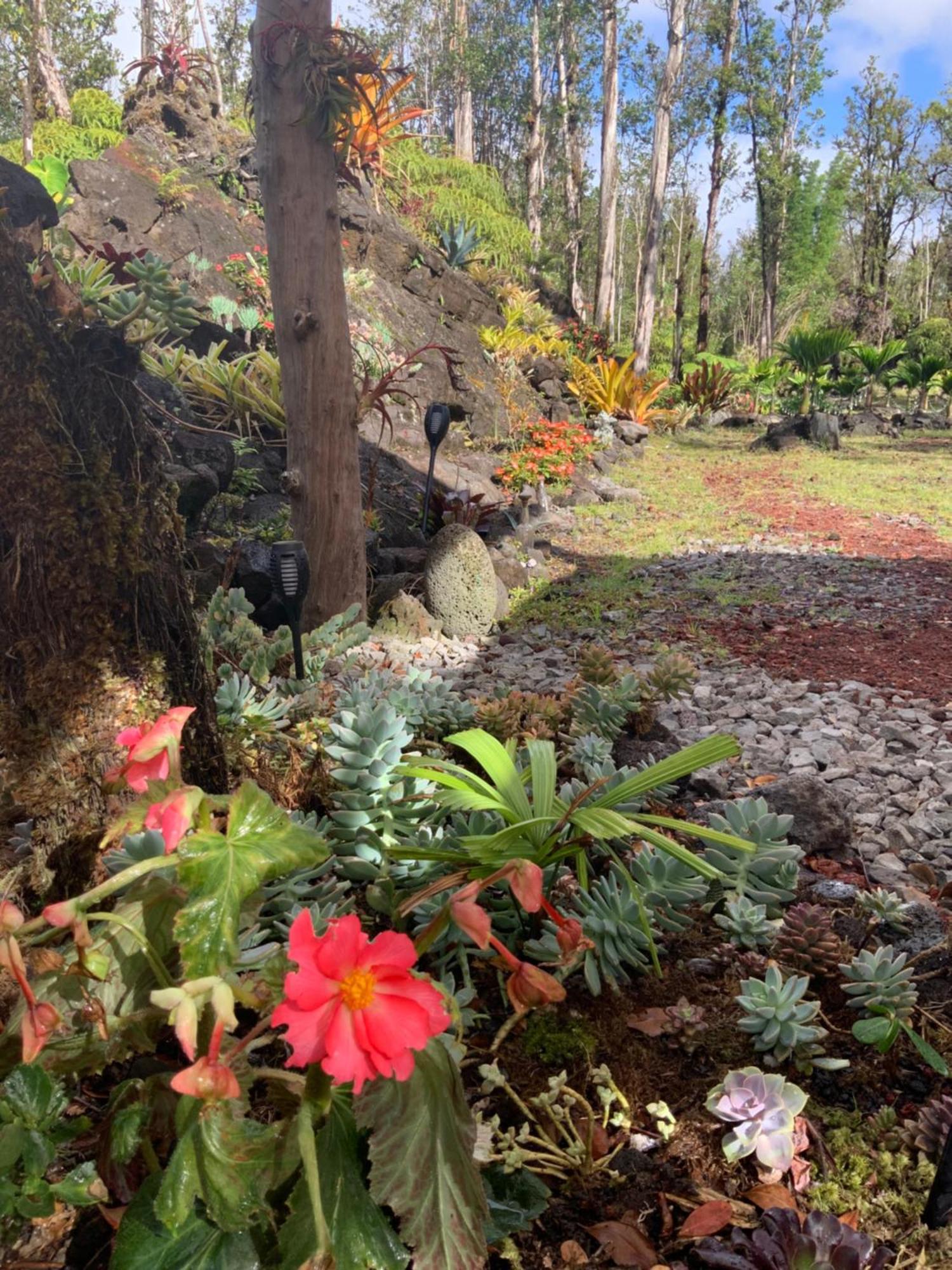 Exotic Garden Cottage At Amazing Volcano Fissure Mountain View Exterior photo