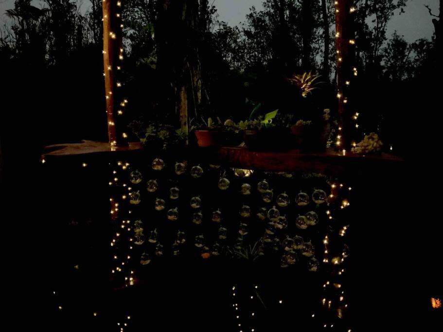Exotic Garden Cottage At Amazing Volcano Fissure Mountain View Exterior photo