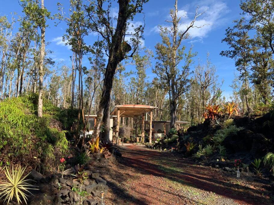 Exotic Garden Cottage At Amazing Volcano Fissure Mountain View Exterior photo