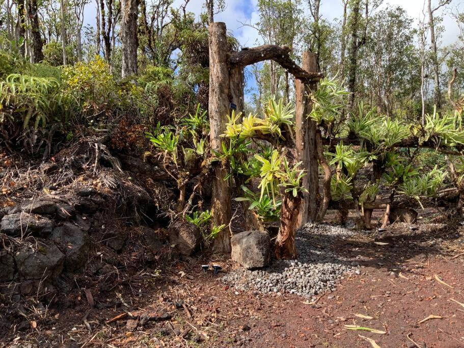 Exotic Garden Cottage At Amazing Volcano Fissure Mountain View Exterior photo